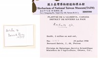 灰樺藏品圖，第2張